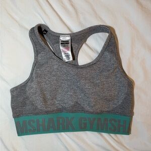 Gymshark Gray and Teal Sports Bra